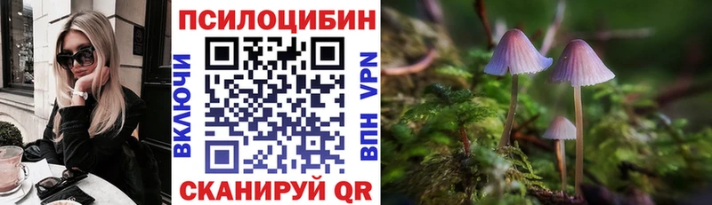 МЕГА вход  Новотитаровская  Галлюциногенные грибы мицелий  цены наркотик 